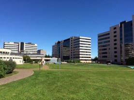 Youncta centro de negocio